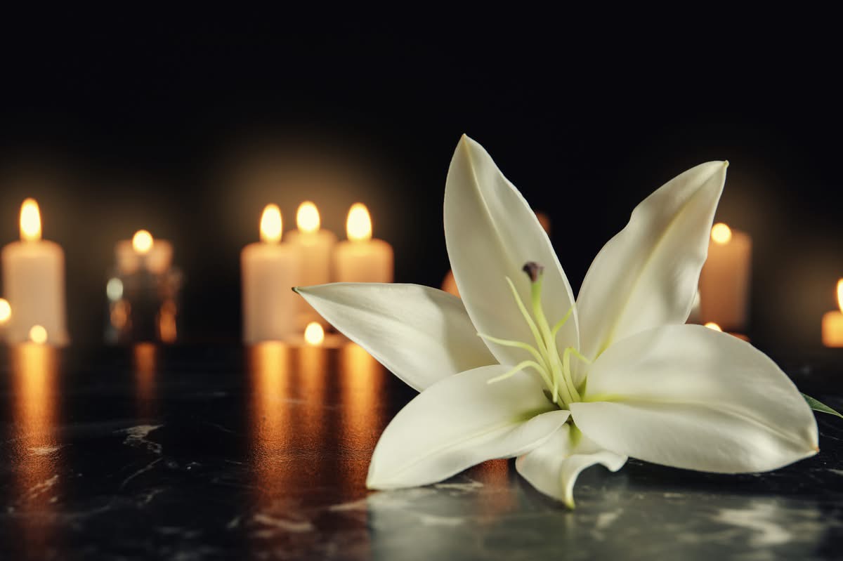 Cole Alicia Mailhot, Franklin OH, Obituary, Death: Family And Friends Mourns The Passing of Cole Alicia Mailhot